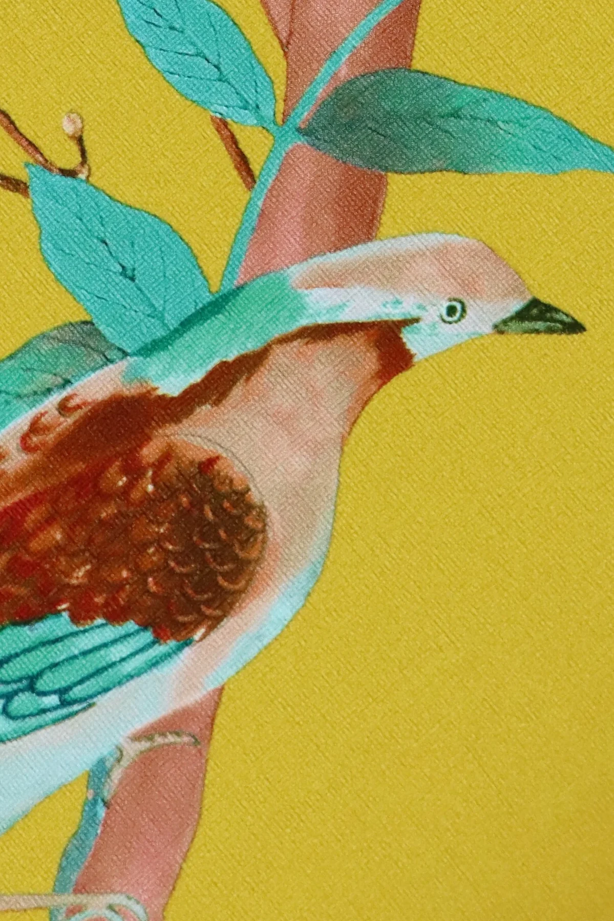 תמונת מוצר 3